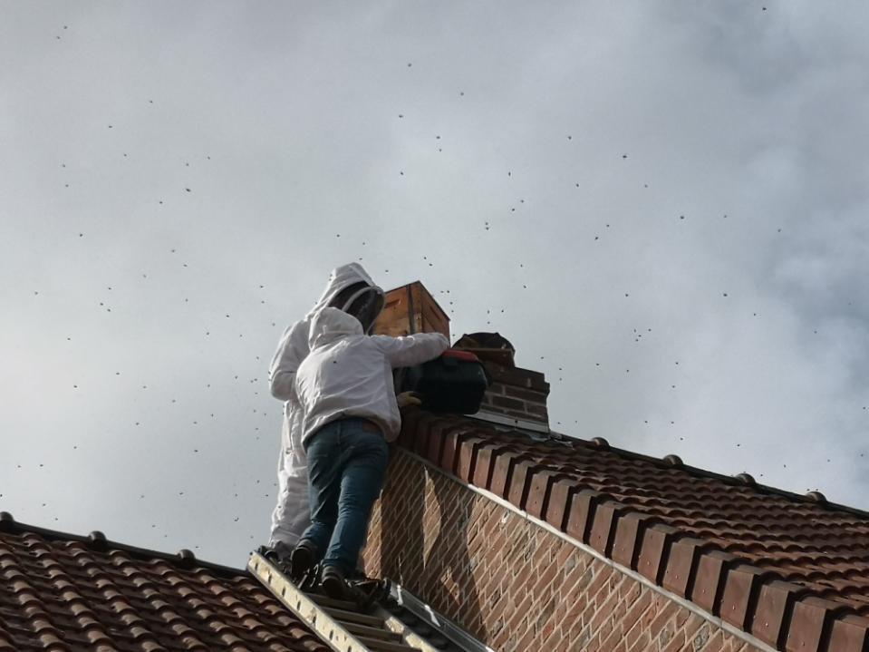 C'est une intervention pour le retrait d'un nid d'abeilles dans une cheminée.